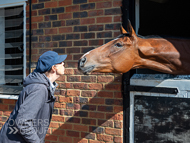 WG160922-72 - Nose to nose